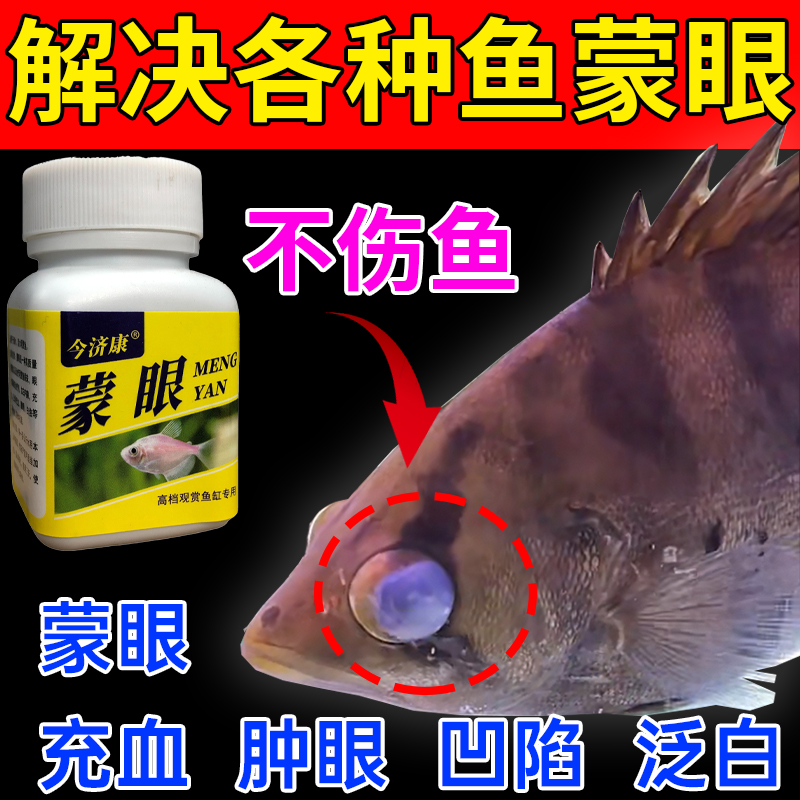 鱼蒙眼专用龙鱼锦鲤鱼虎鱼凸眼充血白眼清观赏鱼通用鱼蒙眼粉