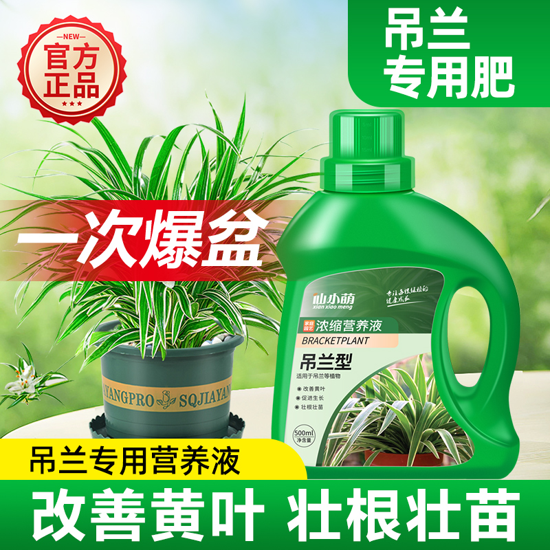 水培金边吊兰专用营养液油画吊兰专用肥家用盆栽治黄叶液体水溶肥
