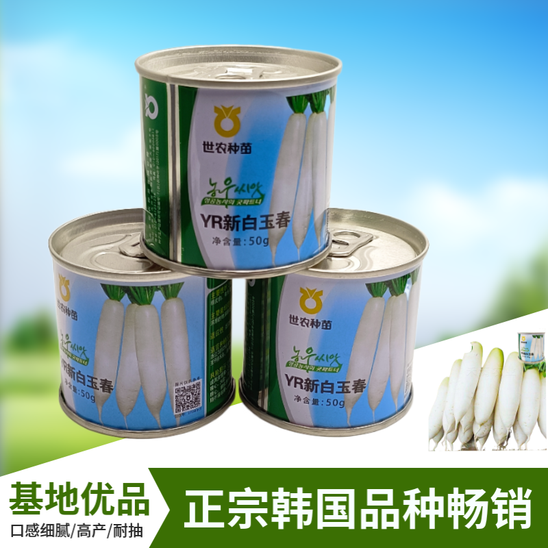 正宗韩国世农白玉春白萝卜种子耐寒白萝卜种子秋冬季种白玉萝卜种