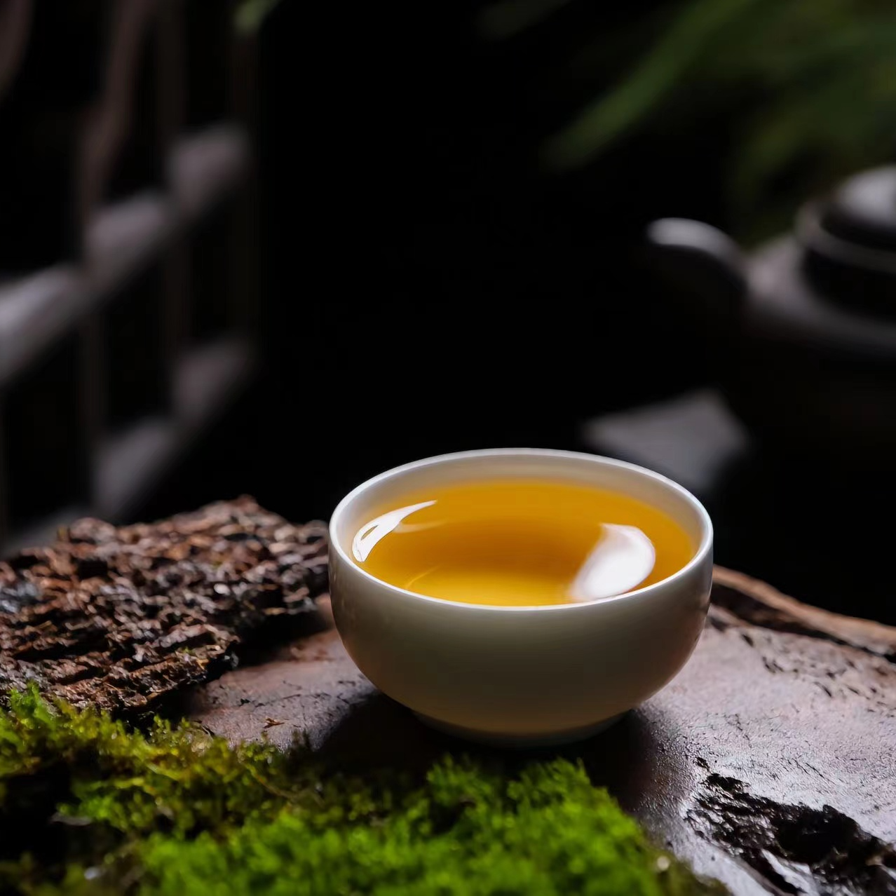 云南普洱茶通用链接-8