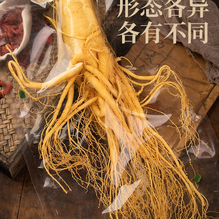 【长白山保鲜参】鲜人参泡酒煲汤高品质足龄保鲜参吉林原产地高龄