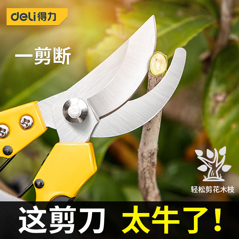 得力剪枝剪刀园林花艺修剪树枝剪刀果树剪刀粗大花剪园艺剪子工具
