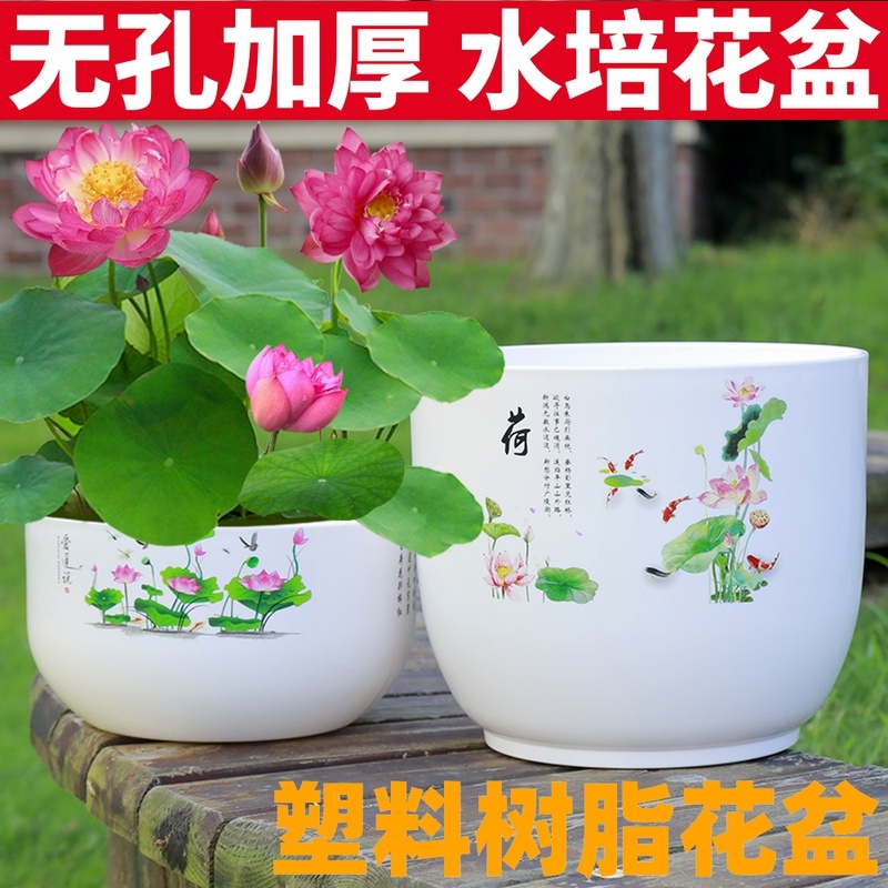 大号仿陶瓷树脂加厚无孔睡莲荷花盆 加厚水培碗莲中国风塑料花盆