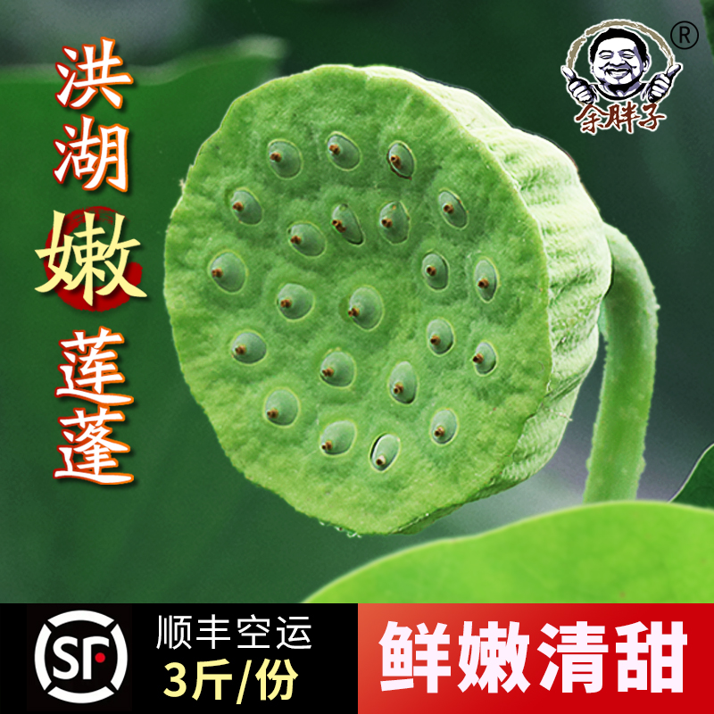 余胖子余胖子湖北洪湖新鲜莲蓬现摘莲子现剥生吃嫩甜3斤鲜嫩