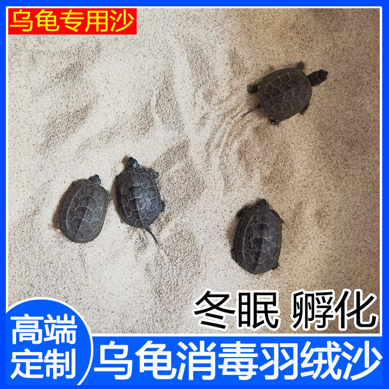 宠物沙乌龟沙下蛋沙冬眠沙棉花沙龟蛋孵化沙河沙细沙垫料浴沙宝宝