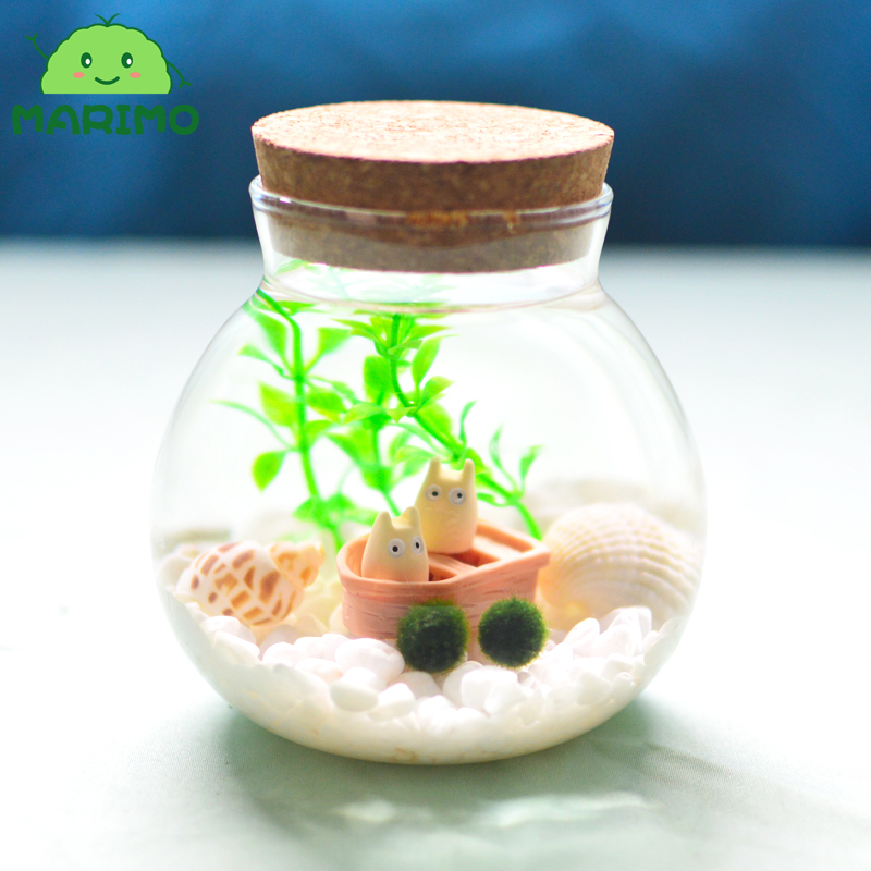 marimo宝宝海藻球微景观生态瓶玻璃室内水培植物趣味绿藻球马里莫