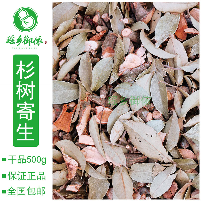 杉树寄生杉木寄生沙树寄生干品500g包邮广西瑶山特产杉树绿植苗
