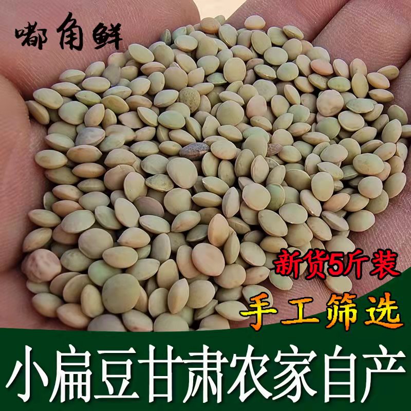 嘟角鲜小扁豆子3斤生豆芽菜甘肃五谷杂粮新货小兵豆绿豆子