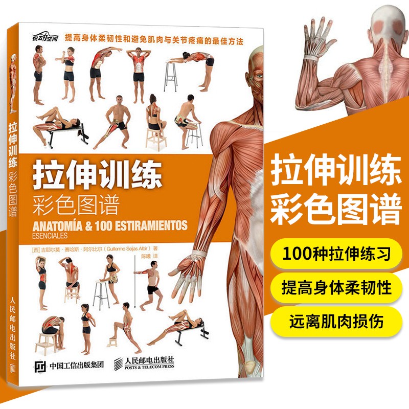 拉伸训练彩色图谱 如何通过拉伸矫正体态 改善身体柔韧性健身书籍