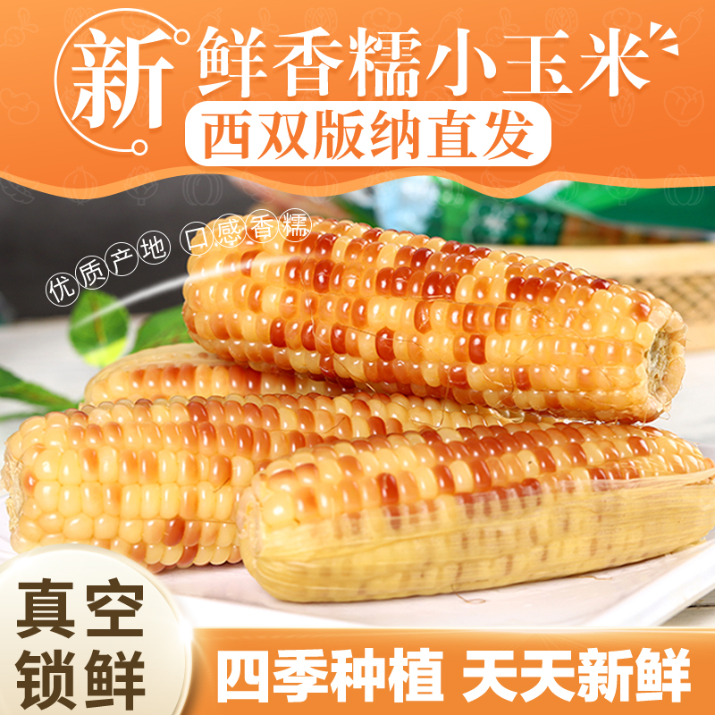 【雨林农夫】西双版纳糯玉米小玉米新鲜真空包装即食3斤/5斤/9斤