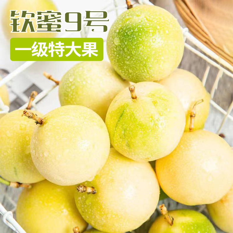 现摘广西精品特大钦蜜9号黄金百香果香甜多汁新鲜水果