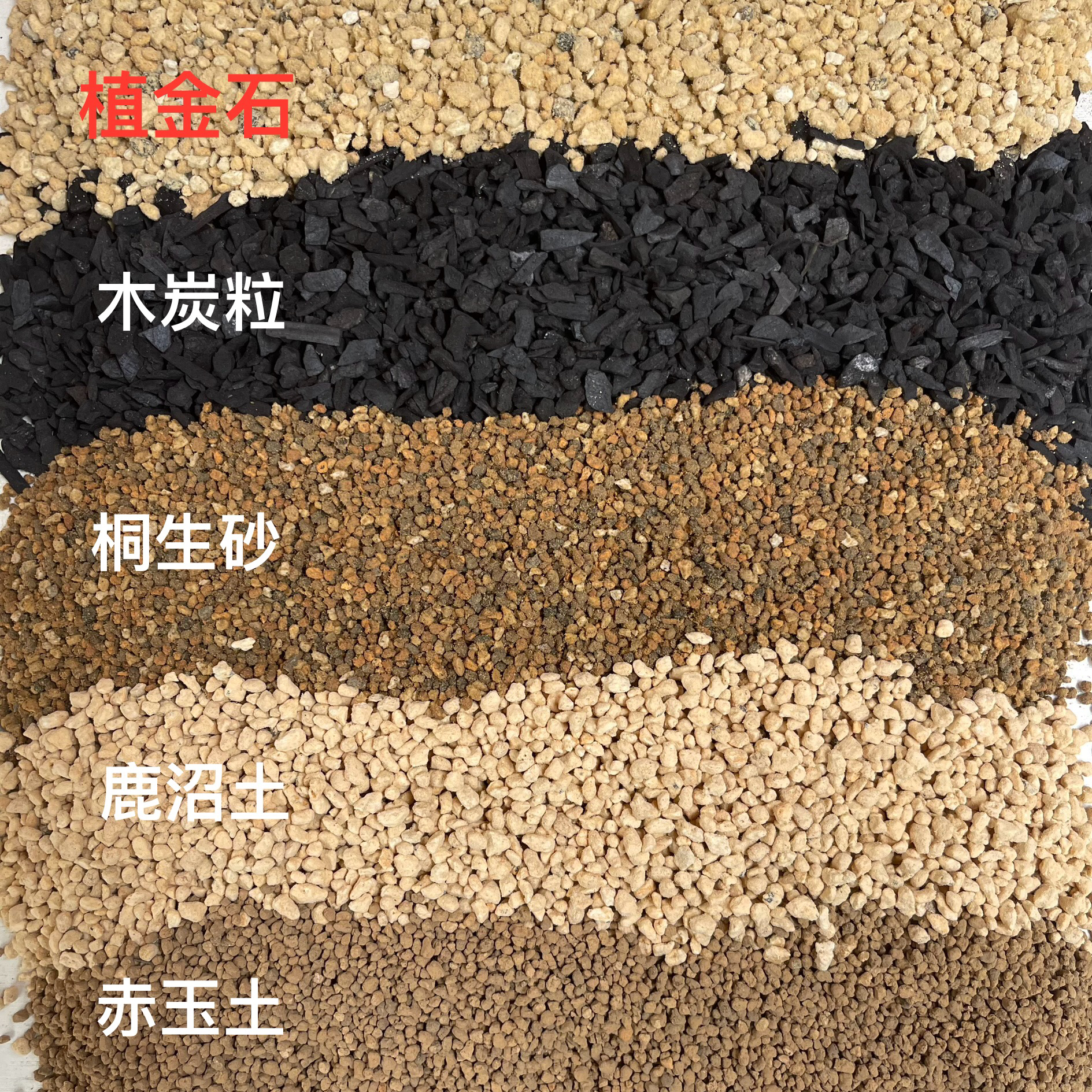 五合一颗粒型盆景配置土（4升）适用于小叶簕竹栀子花茉莉花茶花 等