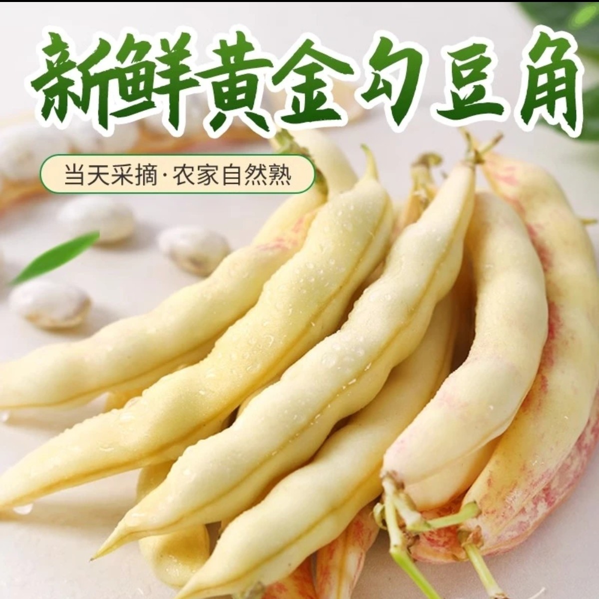 【顺丰包邮】东北特产 黄金勾 弯勾黄现摘现发 3斤