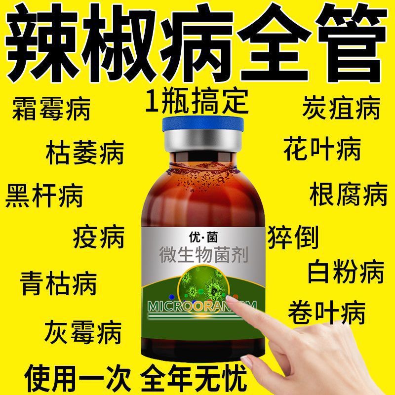 工业辣椒黑杆小叶卷叶花叶疫病炭疽病青枯病等等优菌微生物菌剂
