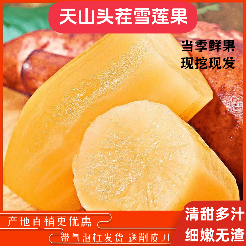 【现挖现发云南红土雪莲果】产地直发新鲜雪莲果脆甜多汁细嫩无渣