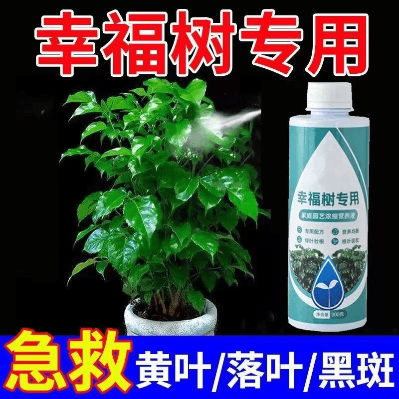 幸福树专用肥盆栽富贵竹发财树掉绿植肥料和幸福树专用绿植营养液