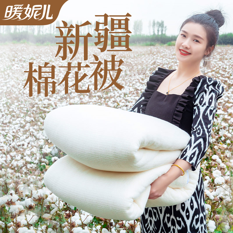 新疆直发方格网纱棉被芯加厚保暖棉花被子冬被加厚保暖8斤10斤