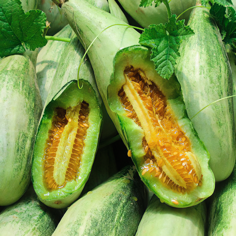 当季头茬羊角蜜甜瓜蜜瓜酥脆甜瓜水果新鲜孕妇甜瓜鲜脆美味大果鲜