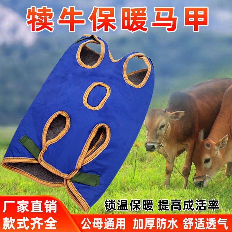 加厚犊牛的保温马甲防水加绒防寒新生牛器械小牛犊子裹腹保温马甲
