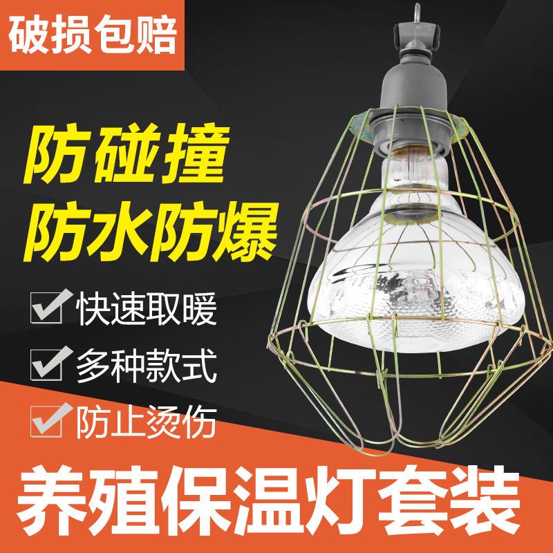 养殖专用保温灯套装取暖灯小鸡仔猪升温灯防水防爆红外线多种