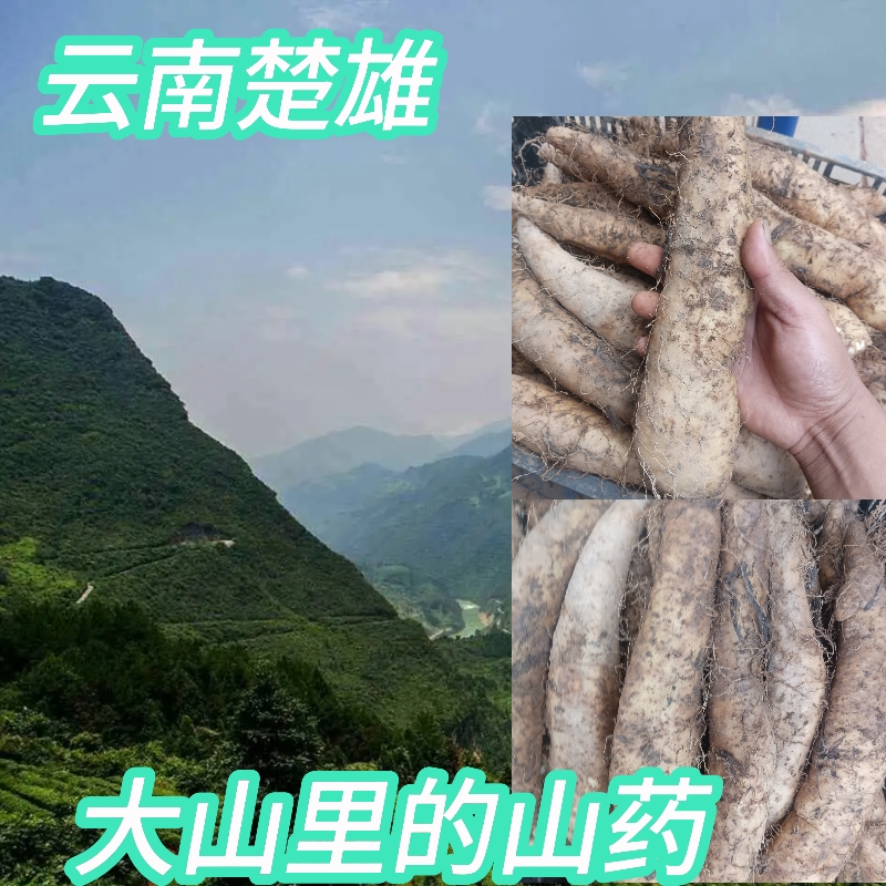 云南正宗老品种山药粉面清香