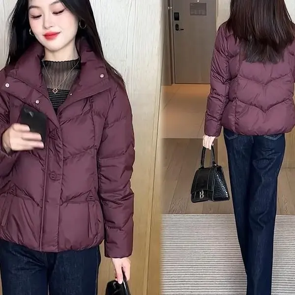 短款立领洋气棉服冬季新款保暖显瘦百搭外套