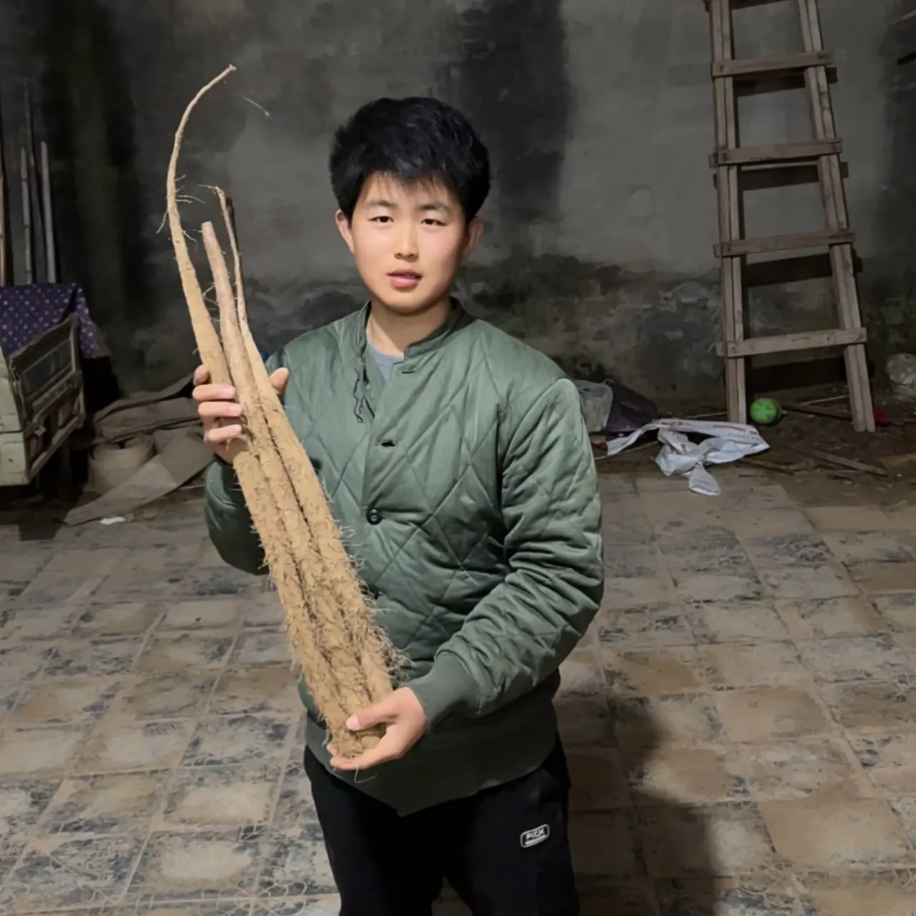 河北邯郸2025新鲜白玉山药来喽小通货