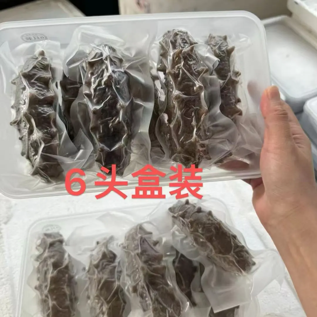 即食营养海参活参加工口感劲道无需泡发