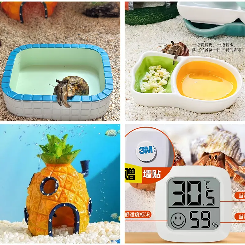 寄居蟹沙蟹躲避屋水盆食盆泡澡盆防溺水树脂陶瓷盆造景摆件