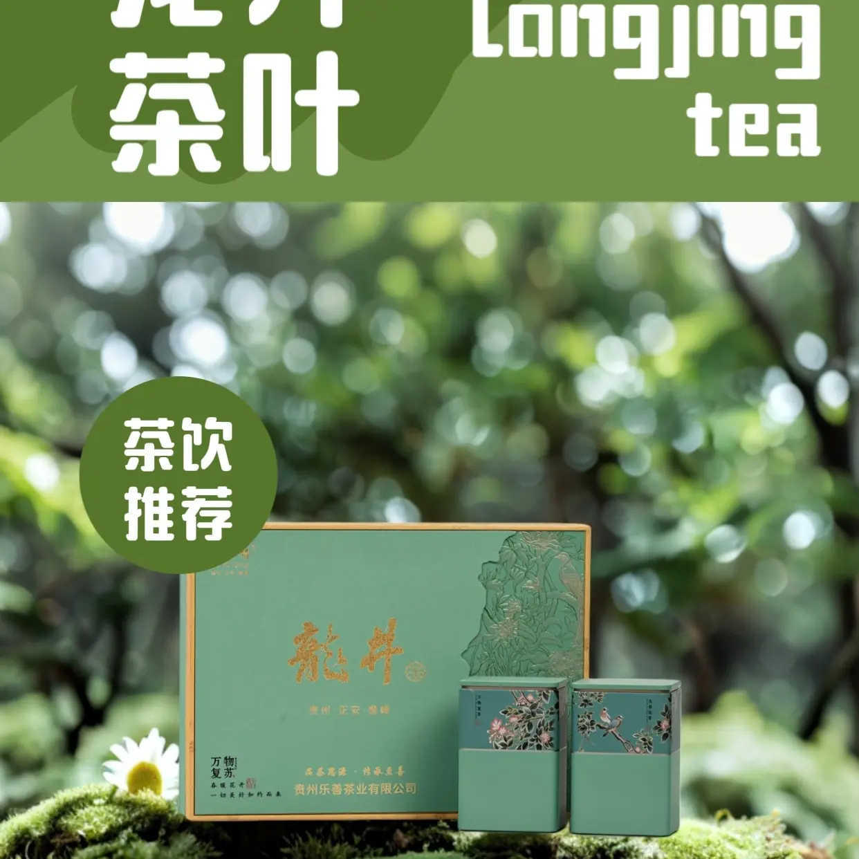 乐叶情高山龙井茶