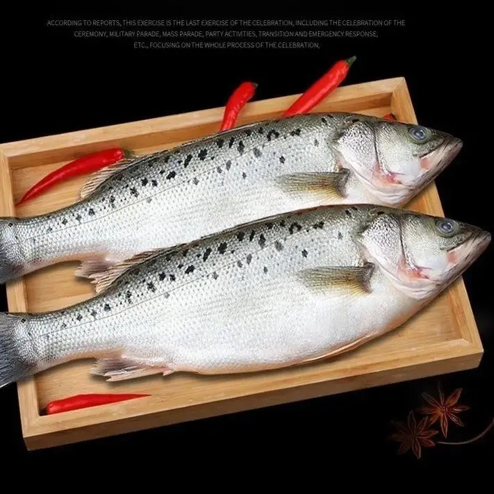新鲜 鲜活捕捞海鲈鱼6条400-500g/条活冻海鱼蒜瓣肉清蒸红烧海捕