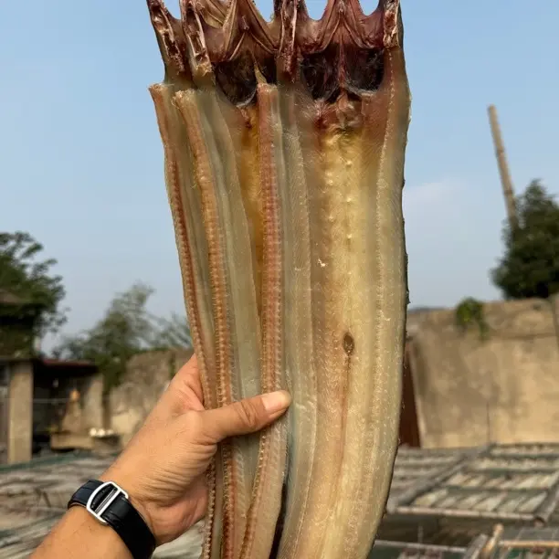 舟山内港鳗鱼鲞/每包300克/到手5包