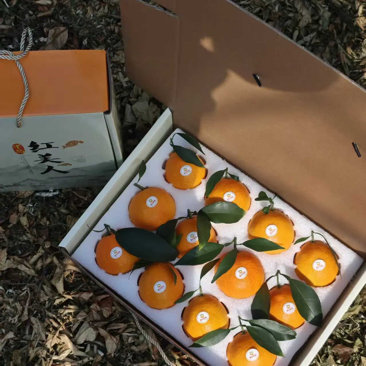 （礼盒装）装象山红美人爱媛28号现摘应季皮薄肉嫩无籽无渣香甜多汁