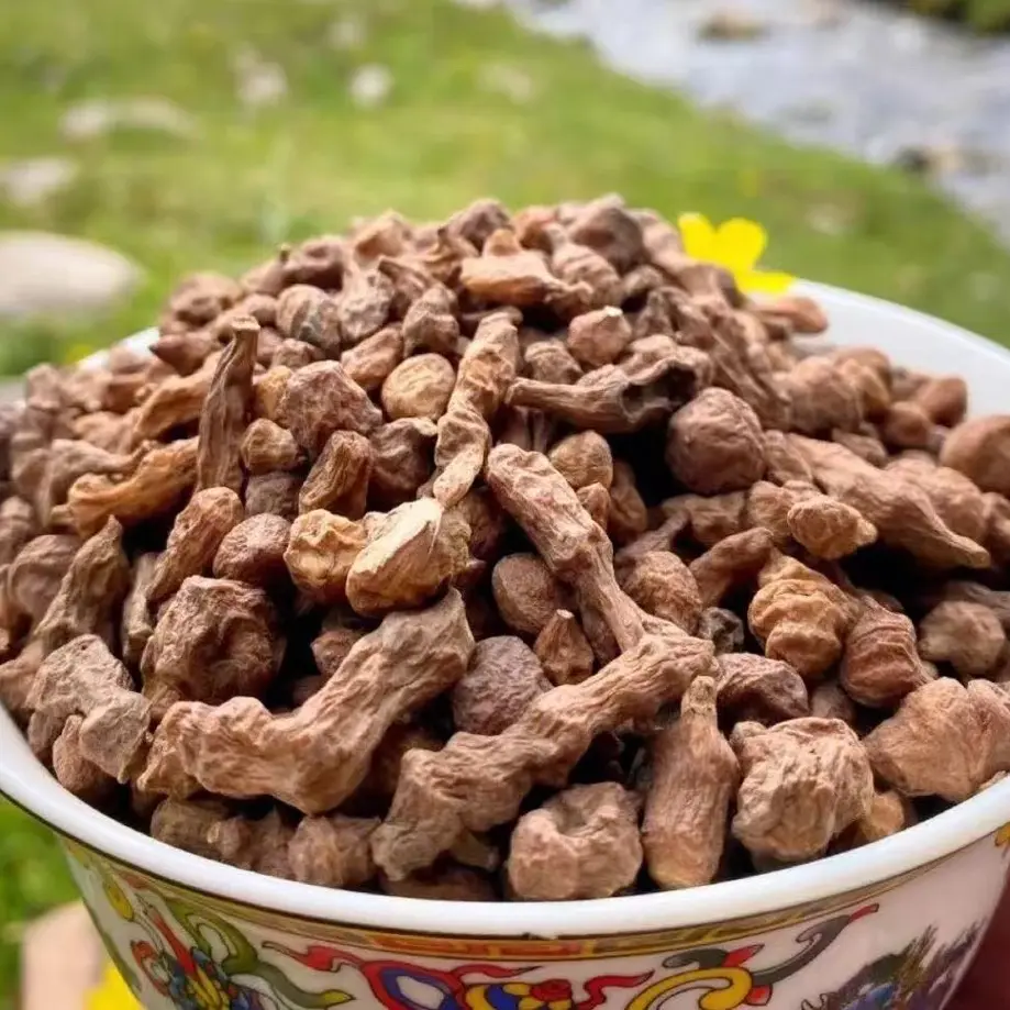 （大果）高原海拔3800米干蕨麻人参果