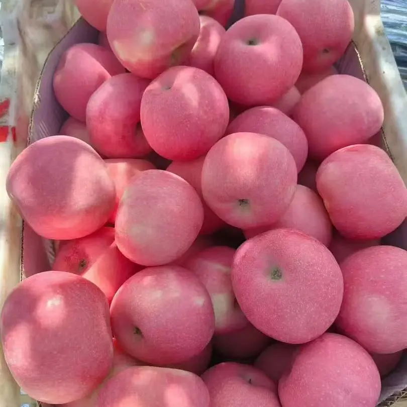 红富士苹果新鲜脆甜当季水果产地直发包邮