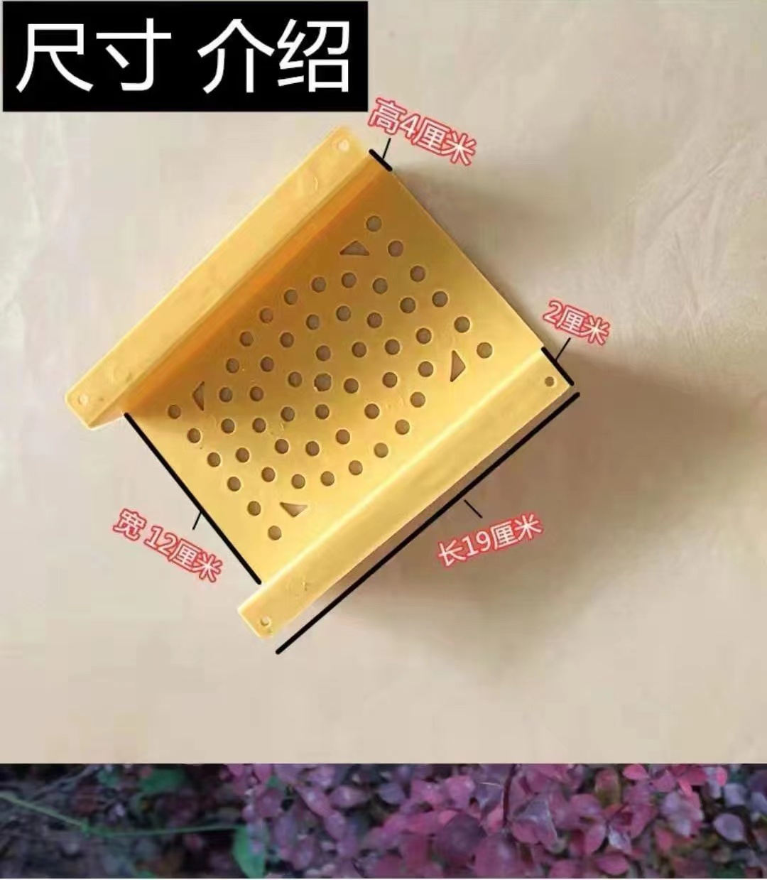 鸽子（科汇）电子拖5个