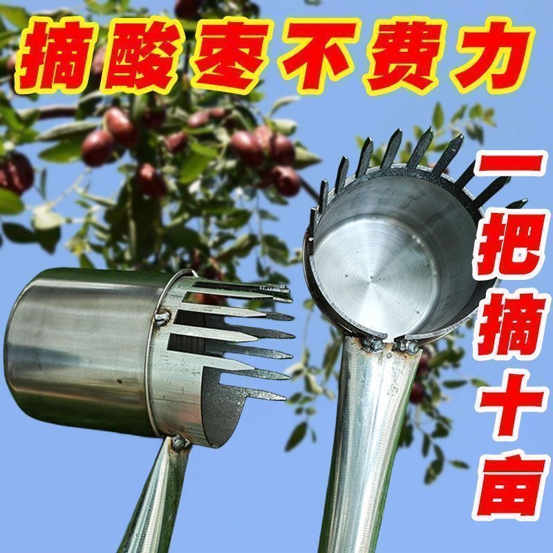 加厚2024新款酸枣不锈钢摘果器采果山枣柏树神器小枣工具扎手