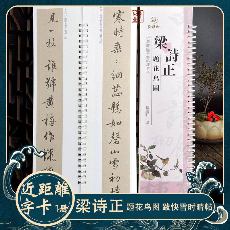 梁诗正《题花鸟图 跋快雪时晴帖》近距离临摹字卡 经典毛笔书法字帖