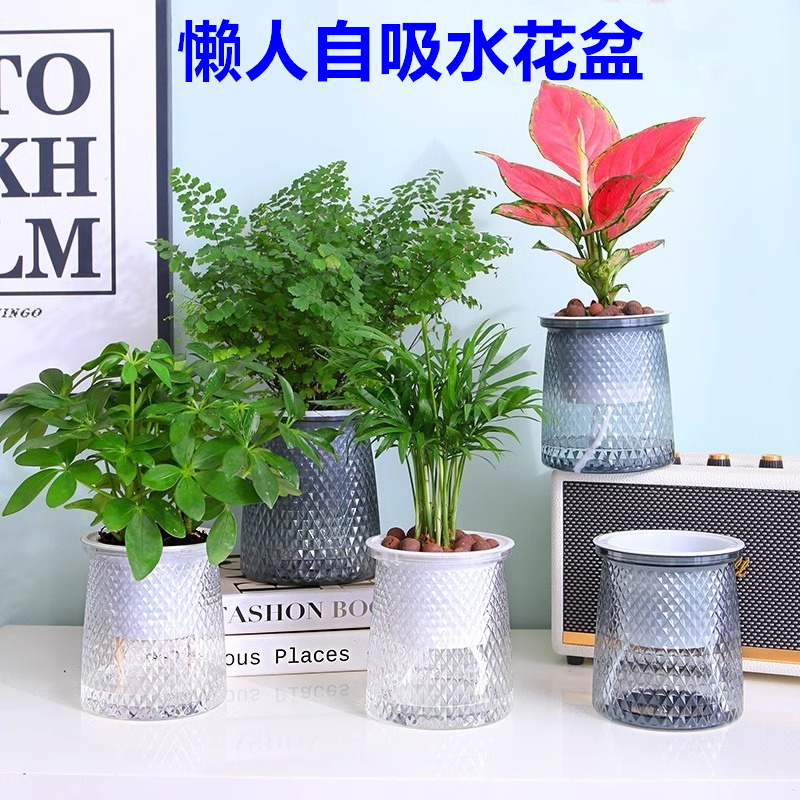 水培花盆塑料简约自动吸水家用桌面白掌绿萝花卉小花盆北欧轻奢风