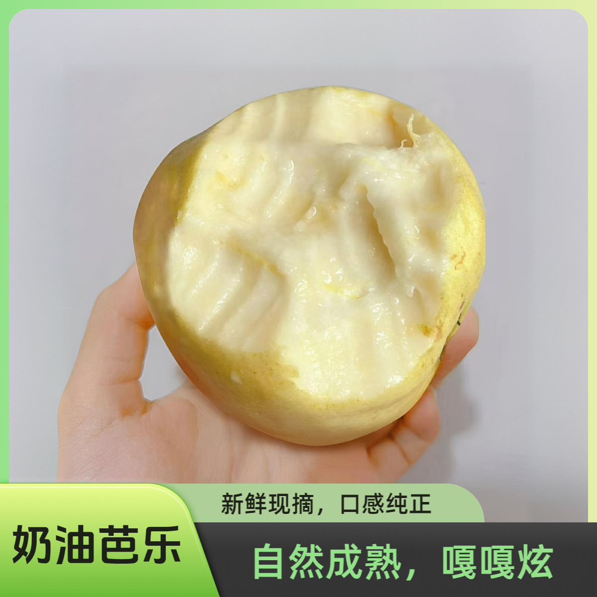 奶油芭乐黄金广西番石榴软心鸡屎果白心应季新鲜现摘新鲜香甜水果