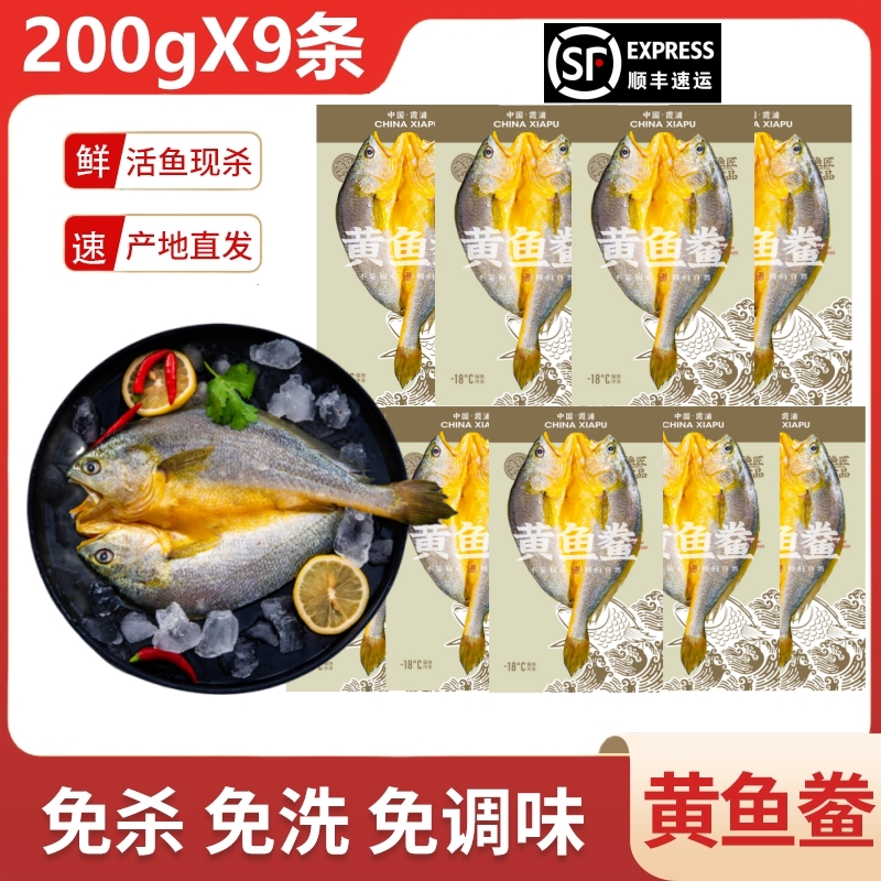 【6+3到手9条】宁德霞浦黄鱼鲞咸香大黄鱼黄花鱼新鲜免杀免洗免调味