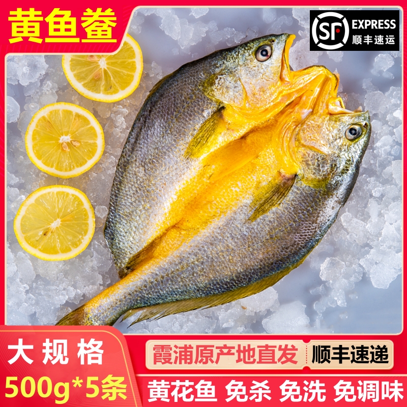 【大规格 500gX5条】福建宁德霞浦黄鱼鲞 大黄花鱼免杀免洗 500g/条