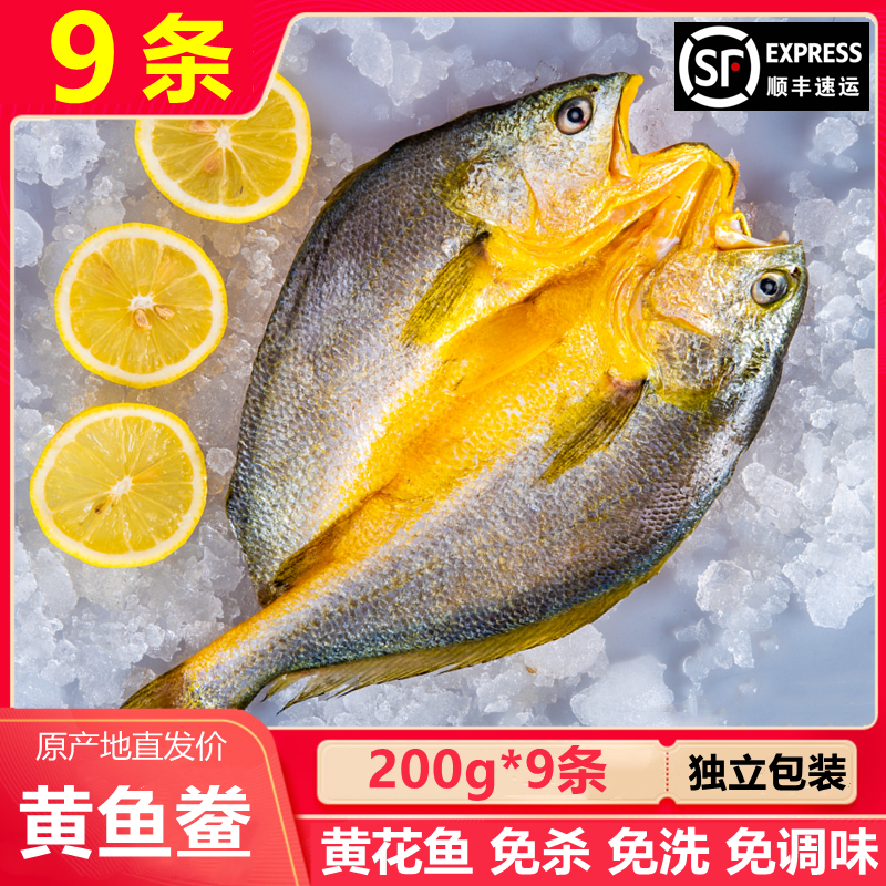 【6+3到手9条】200g/条 福建宁德霞浦黄鱼鲞 大黄鱼 免杀免洗新鲜