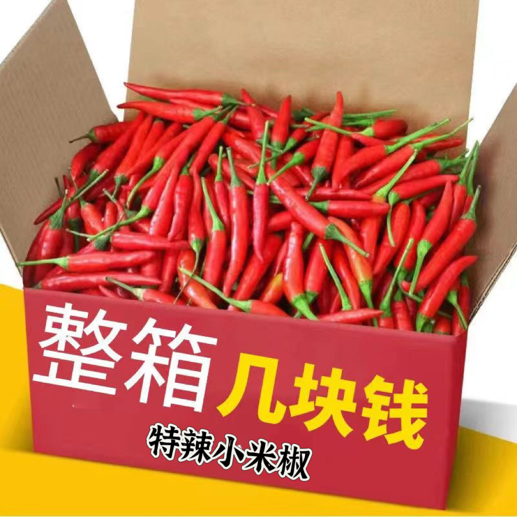 新鲜采摘特辣小米椒餐饮巨辣朝天椒指天椒全红小米辣可做泡椒剁椒