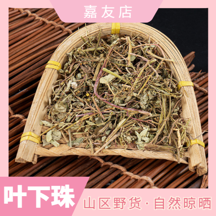 野生叶下珠干货现采珍珠草假油甘叶后珠叶下珠叶菜500g-1000g包邮