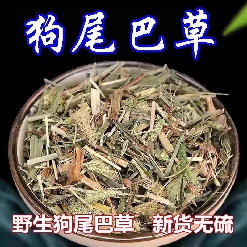 狗尾巴草正品光明草无硫新货叶菜散装狗尾巴草食材250g-1000g包邮