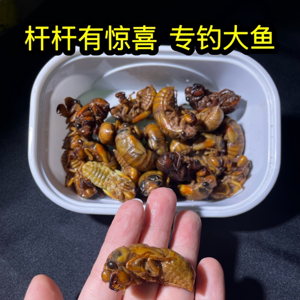 钓鱼知了猴爬叉猴鱼饵钓草鱼鲶鱼神饵钓鱼多种高蛋白昆虫鱼饵