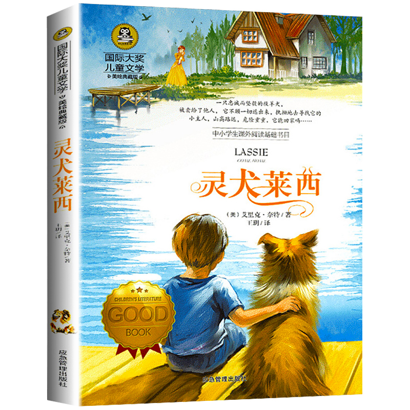 国际大奖儿童文学系列获奖小说三四五六年级小学生课外阅读故事籍