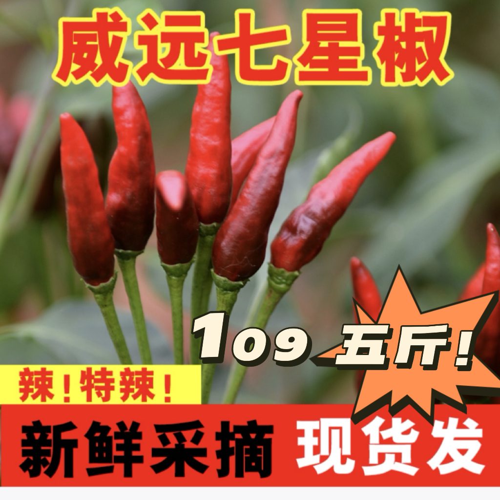 四川威远新店蜀威七星椒正宗一代七星椒 5斤装产地发货
