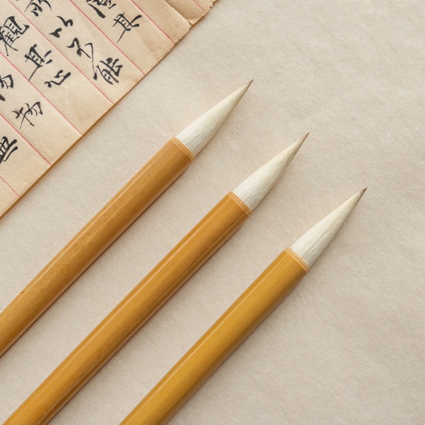 【小郑精选】「新款玄度来经2.0」初学者利器兼毫 四体书万能笔